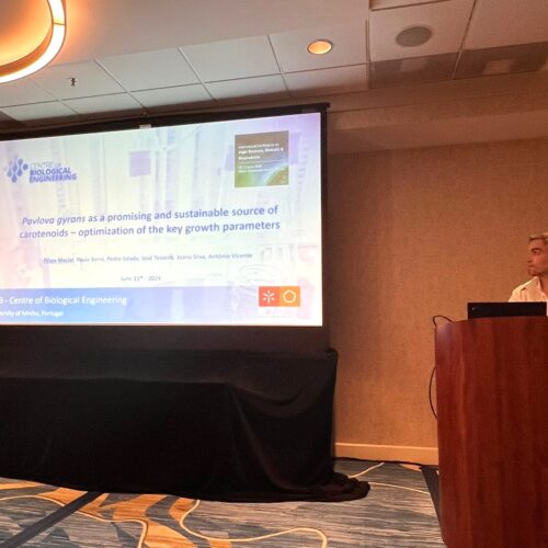 University of Minho at the International Conference on Algal Biomass, Biofuels and Bioproducts (AlgalBB), Florida