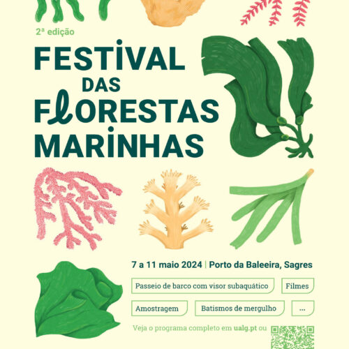 2ª Edição Festival das Florestas Marinhas